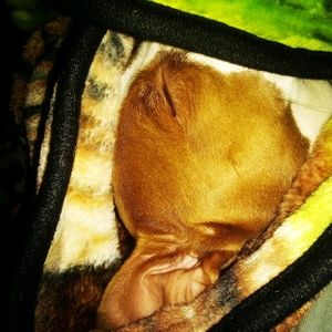 Meet your Posher, Tina